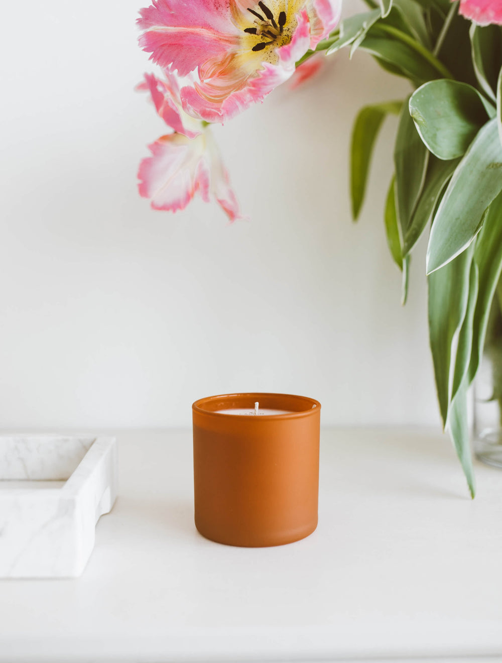 Cedar + Tobacco Dignity Series Glass Jar Soy Candle | Calyan Wax Co. - 5.3 oz