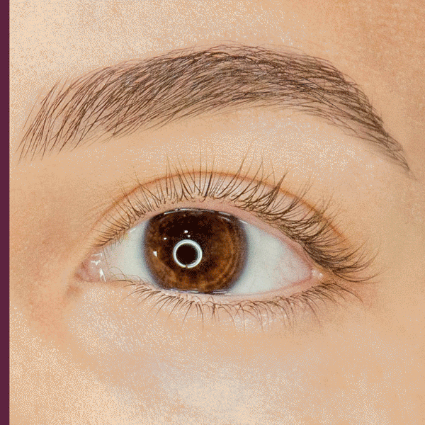 Close-up of a brown eye showing natural eyelashes before and after using Amplified Tubing Mascara | Blinc, highlighting enhanced length and volume without clumps.